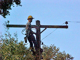 The Northeast Texas Power, Ltd. safe, skilled, and highly productive overhead line workforce are ready to serve your overhead construction and maintenance needs. Our employees are trained to safely perform all aspects of energized distribution work from 4kv to 34.5kv.
